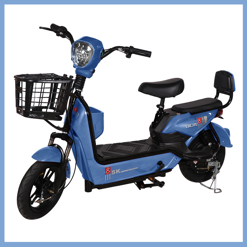 YTYIN Großhandel City E-Bike B – Geared Motor Bewertung und Preis