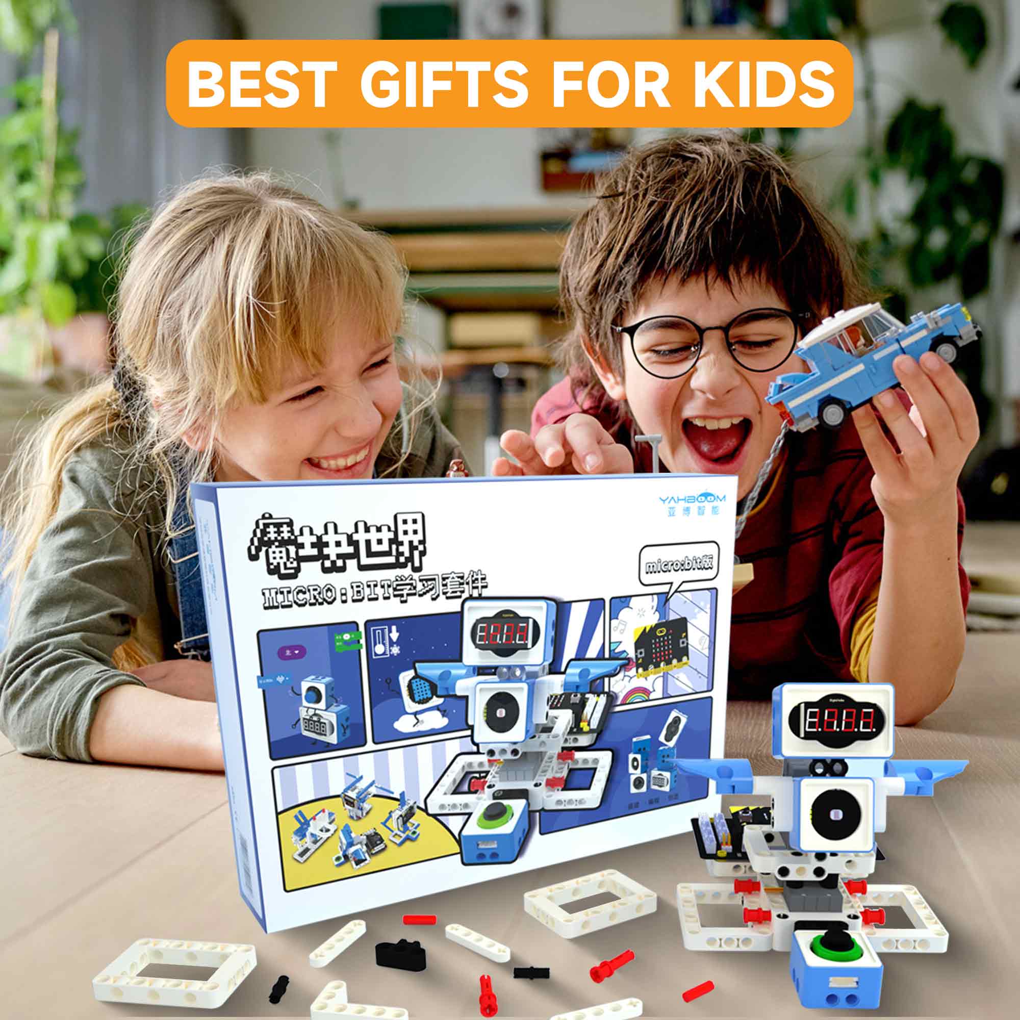 21-in-1-Microbit-Robotik-Kit z – Microbit Robot Bewertung und Preis